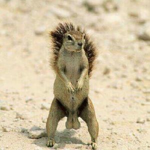 Meet your Posher, Jack